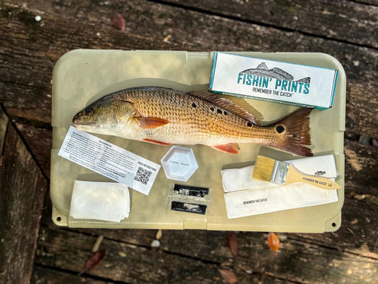 Fishin' Prints Standard Pack DIY Gyotaku Fish Printing Kit - Large Cloth Sheets 36"x18" - Taxidermy Alternative - Natural Cuttlefish Ink - Gift for Fishermen - Gyotaku Fish Printing Supplies - Fish Printing