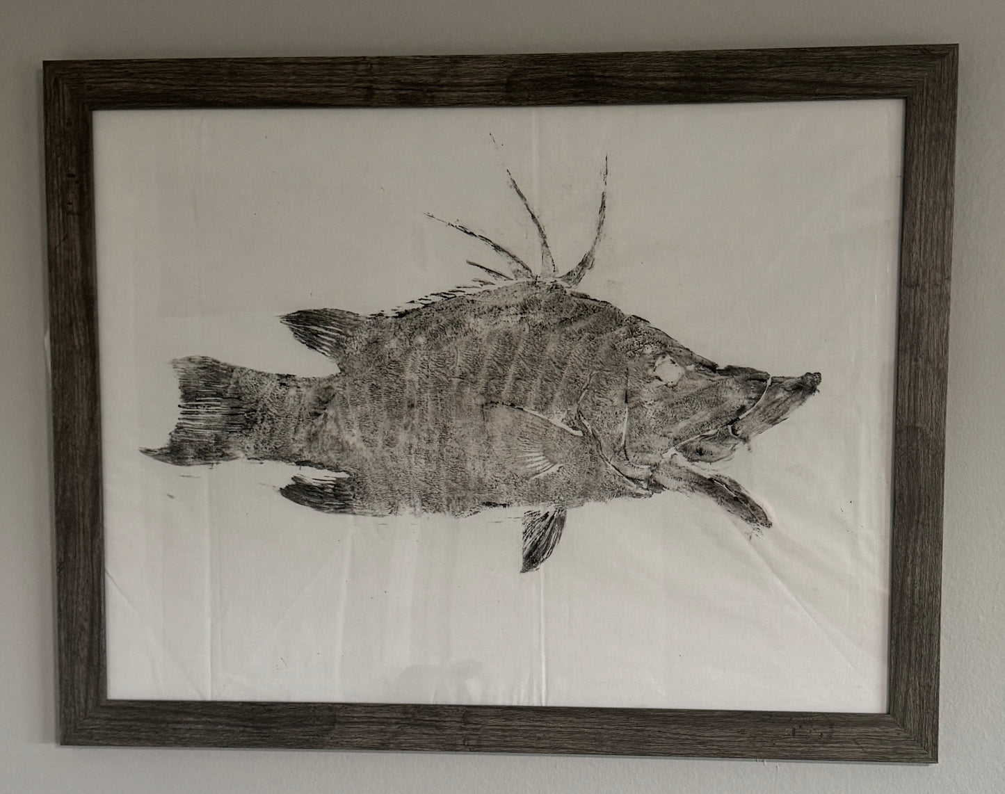 Detailed fish scale impression on gyotaku printing cloth – Fishin Prints Standard Pack fish printing kit result