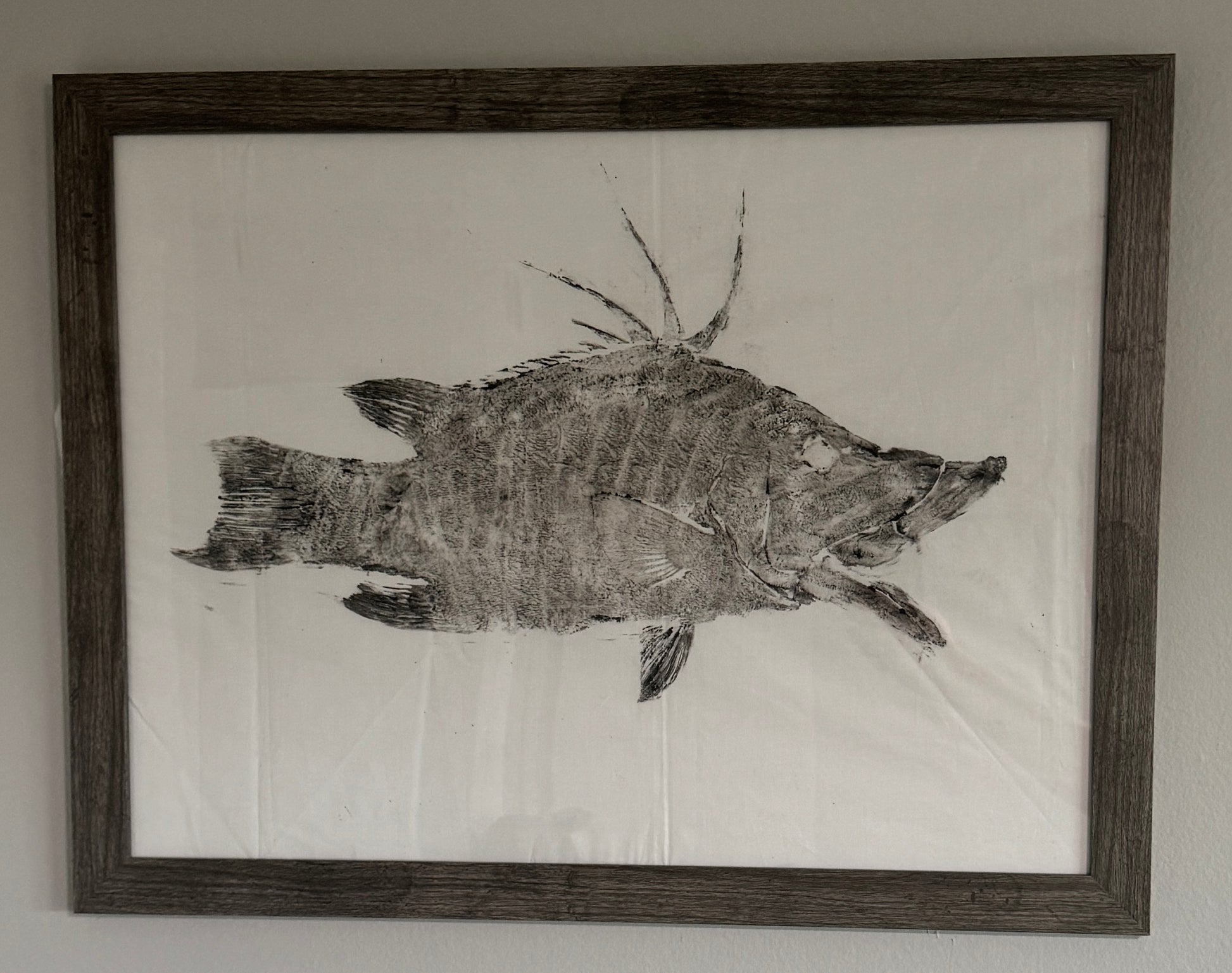 Detailed fish scale impression on gyotaku printing cloth – Fishin Prints Standard Pack fish printing kit result