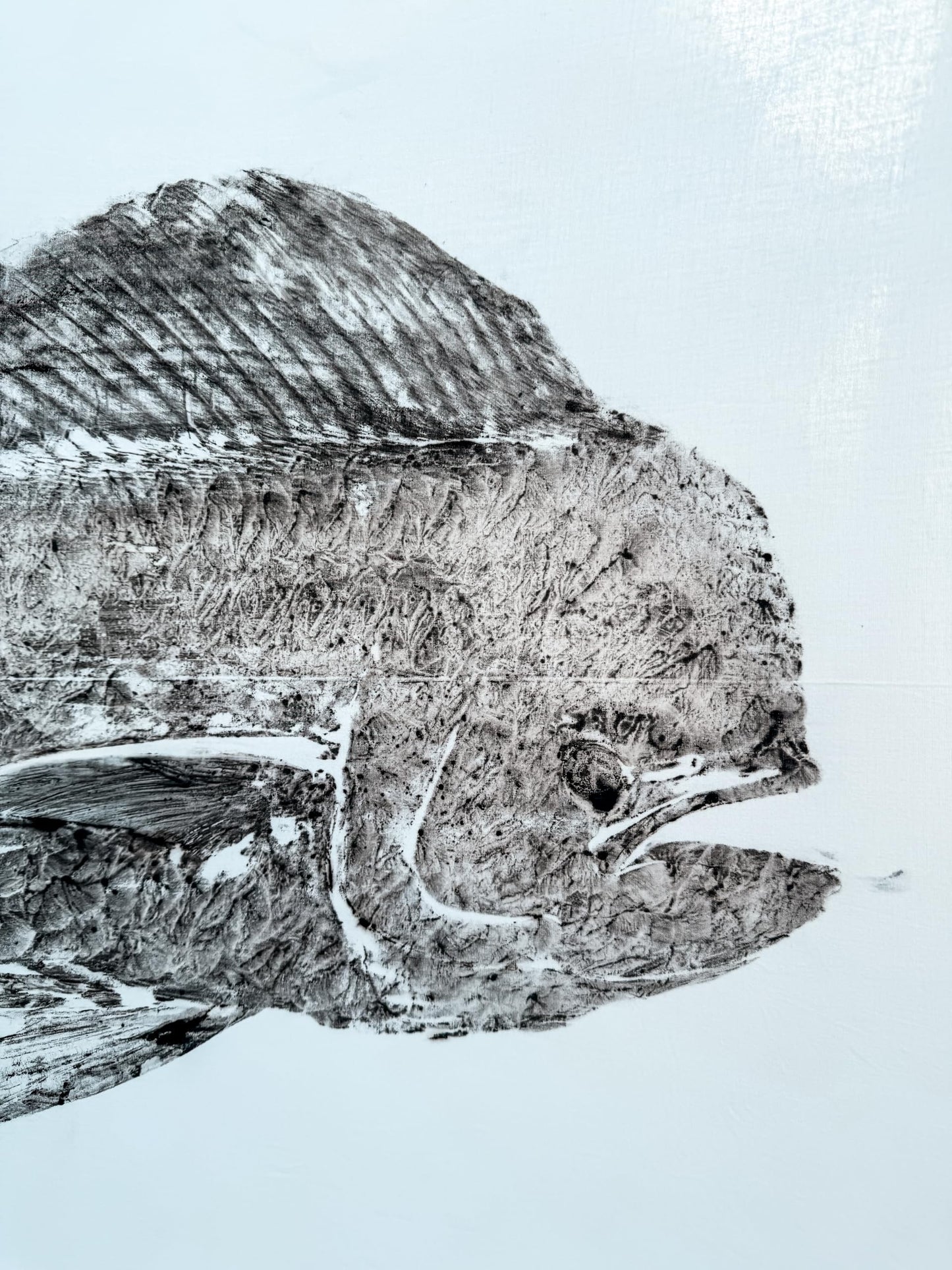 Close-up of gyotaku fish print showing detailed scales and texture of a bull mahi mahi – Japanese fish printing technique on white canvas